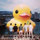 组图：大黄鸭袭港引热潮 刘德华余文乐童心未泯