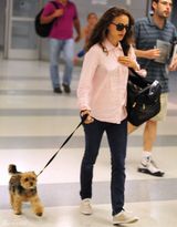 组图：波特曼牵可爱宠物狗现身机场