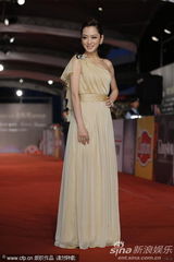 组图：主持人杨千霈和蔡昌宪亮相金马奖红毯