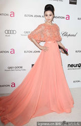 组图：范冰冰大尺度礼服亮相奥斯卡派对疑露点