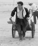 组图：《焦裕禄》热播 剧照完整展示焦裕禄一生