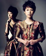 幻灯：海清油画质感写真气质高贵