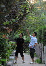 组图：陈赫亮相北五环 考察别墅群欲购豪宅