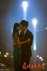 组图：电视剧《爱情自有天意》精彩剧照