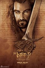 组图：《霍比特人》IMAX海报曝光 四主角领衔