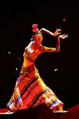 组图：容中尔甲杨丽萍《藏谜》精彩剧照