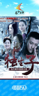 组图：2012年首都电视节目秋推会海报展示