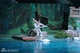 幻灯图集：大型全景芭蕾舞剧《天鹅湖》剧照