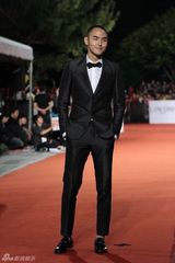 高清组图：金马奖红毯精选 男星西装革履潇洒比帅