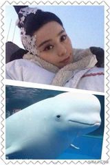 组图：范冰冰伦敦游荡 美艳红唇街头扮文艺