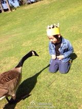 组图：Kimi公园游玩喂鸭子 善良阳光惹人爱