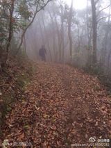 组图：杜德伟不理控告爬山 感慨遇到困难也从容