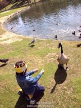 组图：Kimi公园游玩喂鸭子 善良阳光惹人爱