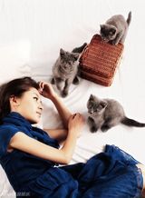 高清图：王子文与猫嬉戏 清丽无敌宛若精灵