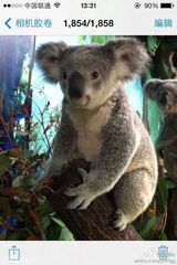 组图：电影《爸爸》曝花絮照 萌宝喂小动物有爱