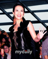 组图：章子怡张东健盛装走红毯 张柏芝粉裙美艳