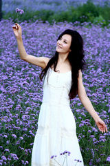 组图：陶红娇媚写真曝光 紫花海中演绎白裙浪漫