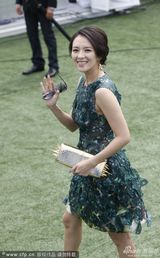 组图：章子怡透视美裙酥胸隐现金饰闪耀