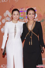 群星闪耀嫣然基金晚宴 王菲旗袍装与李亚鹏恩爱