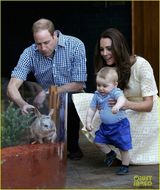 组图：威廉夫妇参观动物园 小王子与兔兔玩耍