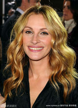 幻灯：《情人节》首映众星云集 海瑟薇阿尔芭斗艳