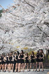 组图：韩国准模特樱花树下上课 露大长腿拼性感