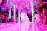 组图：贾乃亮李小璐演绎浪漫童话婚礼