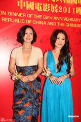 组图：中国电影展晚宴群星璀璨 秦海璐温碧霞拼性感