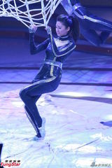 组图：无线45周年台庆群星荟萃 黎耀祥获奖陈豪反串