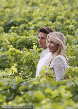 幻灯图：阿汤哥与迪亚兹宣传新片 伦敦郊外共享浪漫