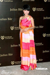 幻灯图：熊黛林李玟乐基儿何超仪等齐聚慈善晚宴