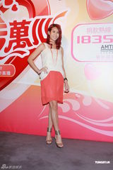 高清组图：关菊英王菀之等出席慈善活动记者会