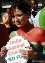 幻灯图：美女人体彩绘32强国旗 呼吁保护动物