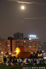 组图：小黄鸭充气萌翻路人 从“荷包蛋”变成鸭