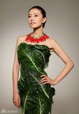 组图：高圆圆拍公益广告 穿“蔬菜礼服”倡导素食