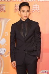 群星亮相金曲奖红毯 蔡依林美腿梁静茹性感(图)