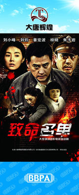 组图：2012年首都电视节目秋推会海报展示