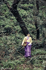 组图：《九家之书》开机 李妍熙崔振赫邂逅