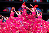 高清组图：歌舞《神州欢腾贺新春》剧照
