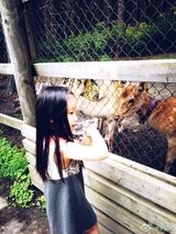 组图：高晓松全家游日本 80后爱妻晒美照