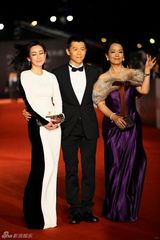 组图：金马红毯群星闪耀 舒淇深V亮胸性感爆棚