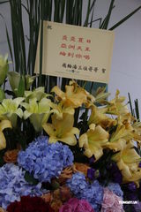 高清组图：炎亚纶庆功演唱会 师妹Olivia任嘉宾