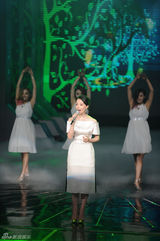 组图：首届电视剧导演委员会表彰大典