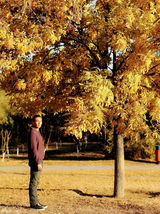 组图：刘冠翔暖男写真 盎然生机展活力