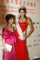 组图：靳羽西车永莉吕燕等出席慈善晚宴