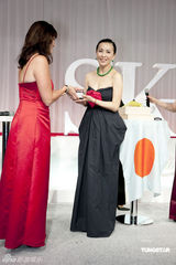 幻灯图：凯特-布兰切特刘嘉玲等女星盛装代言