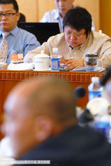 组图：宋祖英韩红两会热烈讨论 刘翔休息区吃零食