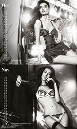组图：日历宝贝2013年历 性感内衣大秀曼妙身姿