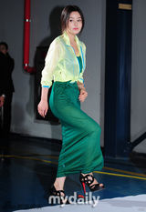 李胜基白衬衣帅气亮相 南圭丽(南奎丽)绿裙清丽淡雅(图)