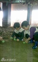 组图：Lucas随柏芝体验亲子游戏 鼻梁擦伤乐此不疲